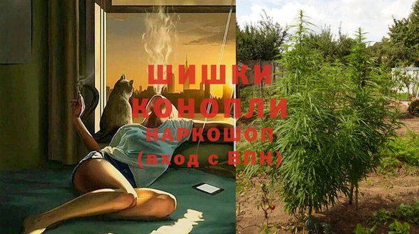 таблы Дмитриев