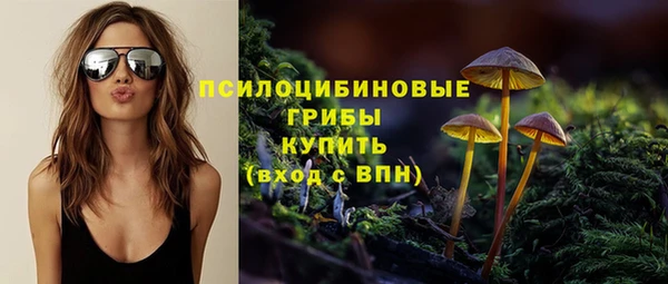 таблы Дмитриев